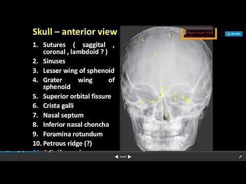 X rays Head and Neck Dr Shabana Anatomy