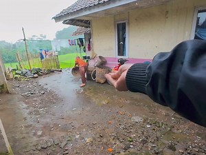 tong nuding kasalahan batur , osok ustadz salah..??!! pepeling hirup pikeun diri kuring #ceramahsunda #ceramahsingkat #suasanapedesaan #suasanakampung #alampedesaan #alamindonesia #pepeling #papatahsunda #pepelingsunda #motivasi #kampungsunda #sawah #pepelingkolotbaheula #papatahkolotbaheula #facebookreels #wayang #cepot #cepotceramah #ngajisiki #ngajen | Niat Kuring