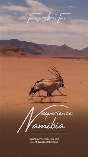 Experience the openness of Namibia.