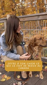 Dites au revoir au collier mouillé, sale, et qui pue. L’ensemble Tanzo repousse l’eau, la boue et les odeurs. Il se lave en deux secondes, et ne retient pas les bactéries. Résultat : propre, solide, prêt à suivre ton chien — peu importe la météo. Fait à la main au Québec. En stock, livraison rapide. 👉 L’ensemble qui a rendu les autres accessoires obsolètes : https://creationstanzo.com/produit/ensemble-collier-et-laisse-pour-chien-impermeable-mains-libres-sans-odeur-tanzo/ | Créations Tanzo