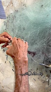 61 reactions · 4 comments | الى عوز يلحق قبل نفاذ الكميه 01277892718 https://chat.whatsapp.com/CCEKdMo1l1d6krhOIjYZAv?mode=ems_copy_t | نور الدين امين | Facebook