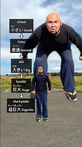 Colossal Taka😎 #japanese #learnjapanese #japanesewords #nihongo #japan