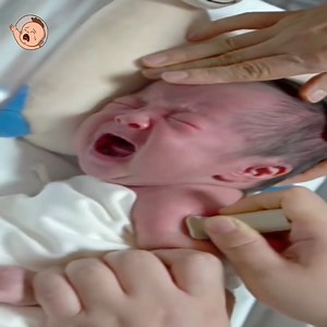 Newborn baby BCG injection | Babies Daily TV