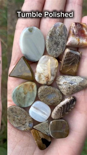 #Lapidary #cabochons #polishedrocks #tumbledstones #petrifiedwood #agate #jasper #graveyardpointplume #pinkladyplume #quartzville #plumeagate #plumejasper | Amanda McDaniel