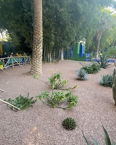 Victoria Findlay Wolfe Quilts on Reels