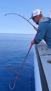 All over the Yellowfin Tuna 🔥 Secured with the #Bubba gaff | BUBBA