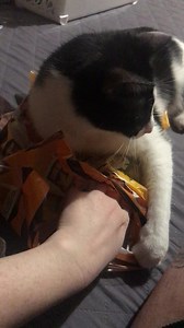 25K views · 2.9K reactions | Kiedy masz mało, a matka Ci wyjada | Brygada RR -Pełna Chata | Facebook