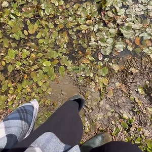 A WOLF VISITED OUR TENT IN CAMP #camping #campinglife #campingwithdogs #campingtrip | Outdoor Camping