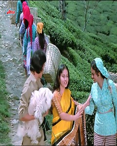 Barsaat Ki Ek Raat Full Movie HD | Amitabh Bachchan | Rakhee | Amjad Khan | People & History