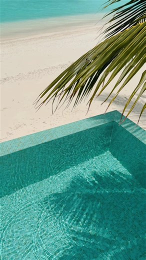 12K views · 205 reactions | Wake up where the ocean kisses your doorstep. #Pool #IslandEscape #IslandLife #TropicalVibes #Serenity #Ocean #Travel #VisitMaldives #KuramathiMaldives #Maldives #YourIslandOfChoice | Kuramathi Maldives | Facebook