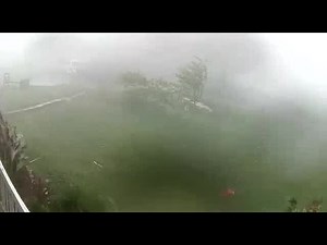 Intense winds during severe thunderstorm in Chuckey, TN