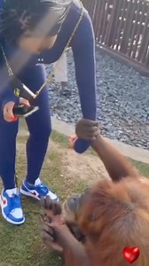 Monkey business…..🧨💥💯💯👀 #fabo | 2$ Fabo