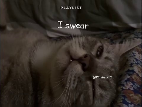 CAS - Cry | Playlist.