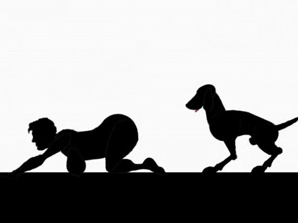 Cartoon video example of how an animal would impregnate a female