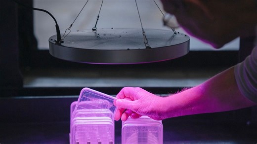 Oh, the places your science experiments will go! #Unity22 research mission specialist Sirisha Bandla gives a rundown on the plant experiments she carried to space in an effort to learn more about how they react during different phases of flight. Findings could have a significant impact on the future of space travel. | Virgin Galactic