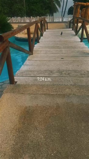 #sun Beach and sond 😻🌊