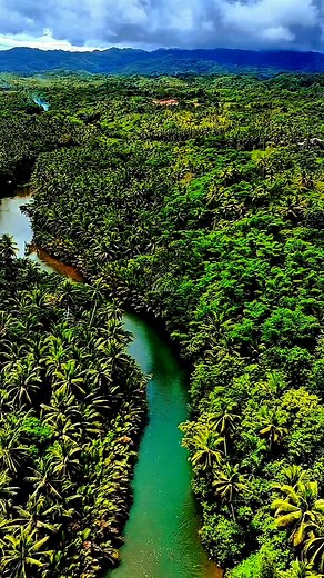 Beautiful river #naturelovers #beautifulnature #beautifulnaturephotography #godcreationisbeautiful #Philippines #djidrone Flowers and Nature | He len