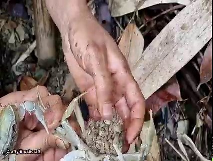 Find forest crabs - Harvest green beans and bring to the market to sell | Crafty Brushcraft