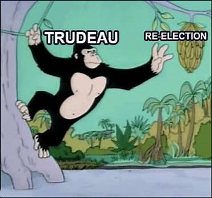 #SCHEER2019 #LavScam | Pierre For Freedom