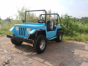 [Hot Item] Mini Sand Buggy