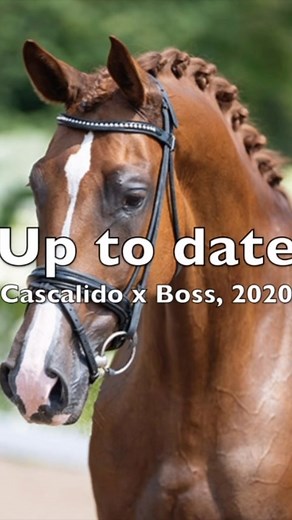 Up to date 2020, for sale💞 | Noa Ackermans