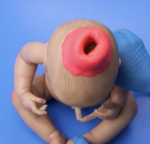 49K views · 150 reactions | How Your Body Gets Ready for Baby: Stages of Labor Explained! | Wood Mood | Facebook