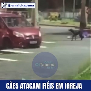 10K views · 117 reactions | CÃES ATACAM FIÉIS EM IGREJA Fiéis que...