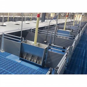 [Hot Item] Hot Selling Pig Feeding Equipment Automatic Adjustable Stainless Steel Pig Feeder