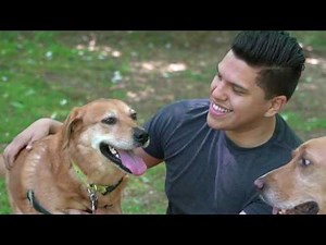 Ask the ASPCA: How Do I Protect My Dog From The Hot Weather?