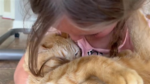 9K views · 1.6K reactions | The Cat Named Carrot on Reels | Facebook