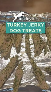 🥓 Looking for a high-protein, low-fat snack your pup will love? 🐶 These homemade turkey jerky dog treats are simple to make and perfect for training or rewarding good behavior! No fillers, no junk—just pure, meaty goodness. Click here for the full recipe: https://topdogtips.com/turkey-jerky-dog-treats-recipe/ #dogtreats #dogtreatsrecipe #homemadedogtreats #diydogtreats #homemadejerky #turkeyjerky | Top Dog Tips