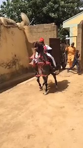 2.6K reactions · 15 shares | Gyara yayi doki dadi #Durba#horsedress#Delightofemirsandriders | Delight of emirs and riders | Facebook