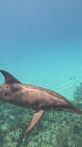 34 reactions | A memory of a lifetime! This is such a special season...