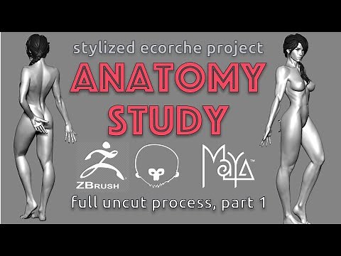 🔴⚫ The Ultimate Female Anatomy Study: Uncut Process (Part 1/3) ⚫🔴