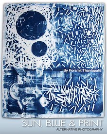Category: Anna Atkins