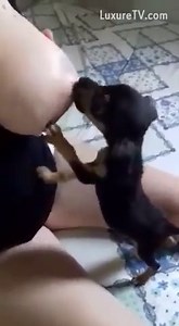Woman Breastfeeding a Puppy