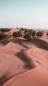Dune bashing, camel riding, and a starlit BBQ under the Arabian sky. 🐪✨ This desert adventure in Dubai was pure magic! #DubaiDesertSafari #DuneBashing #CamelRide #DesertCamp #AdventureAwaits #TravelGoals #UAE #Wanderlust #DesertVibes #dubaidesert | To Boldly Travel with Michel