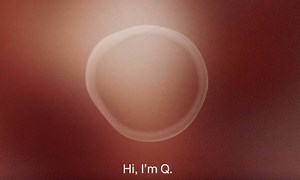 Meet Q, The Electronic Assistant That's Challenging The Gender Binary | KQED