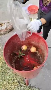 Vegetables crusher machine ✅ Model: XY 650 ✅ Capacity: 500-1000kg/h ✅ Power: 2.2kw ✅ Machine size: 40*40*80CM ✅ Machine weight: 20KG ✅ Voltage:: 220V 60HZ ✅ Price: 13,000Pesos Only Location:138 cagayan valley sto cristo pulilan bulacan Contact#: 09171077703 Waze: Shein Warehouse Pulilan Bulacan We can Ship Nationwide For inquiries kindly message me ❤️ | Lafy Agri Machineries and Poultry Supplies