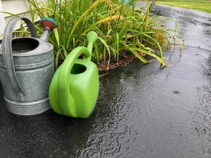 NoVA, DC Weather Forecast: What To Expect For 4th Of July Weekend