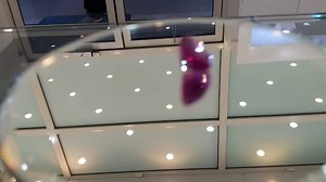 15 reactions | Sapphire Stone | Gem Tanzanite | Facebook