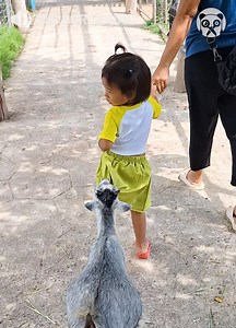 Pesky goat bites onto toddlers skirt | Crafty Chronicles