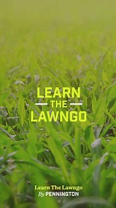 Learn the Lawngo: Transform your alkaline lawn into a thriving oasis! 🌱💚 #AlkalineLawn #PenningtonGrass #LearnTheLawngo | Pennington Lawn and Garden