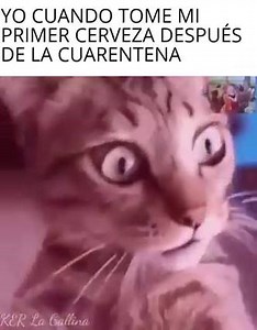 Memes de Argentina on Reels