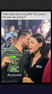 I’m not hating on Gratuitous Theme Parks, it’s been one of my fav Disney pages since it was Gratuitous Disney Memes 😂 | Disney For Adults