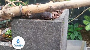 Swarm learning #timadie #guinaga #wete #grabal #sk1 #sogoloton #womenindrones #knitting #sk1art #sk1expats #guinagatricot #kariteton #weteton #guinagaton #grabalton #ci4si #mftg #Onemillionplusthings #moutonchain #manguechain | Guinaga | Facebook