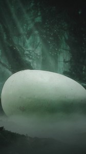 168K views · 25K reactions | “햕햔햗햙햆햑햘” 햙햍햊 햆햑햇햚햒 했햔햒햊햘 햔햚햙 3/31 ㇗ ㆇ...