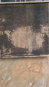 1M views · 10K reactions | Spraying the soil in the beehive, car water tank | Hak Hang | Facebook