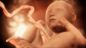 What is Prenatal Engram?