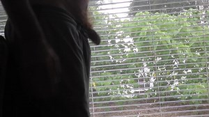 Flashing Landscape Worker